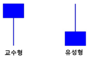 교수형_유성형